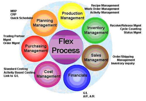 Inventory Management Production Planning Scheduling Solution Manual